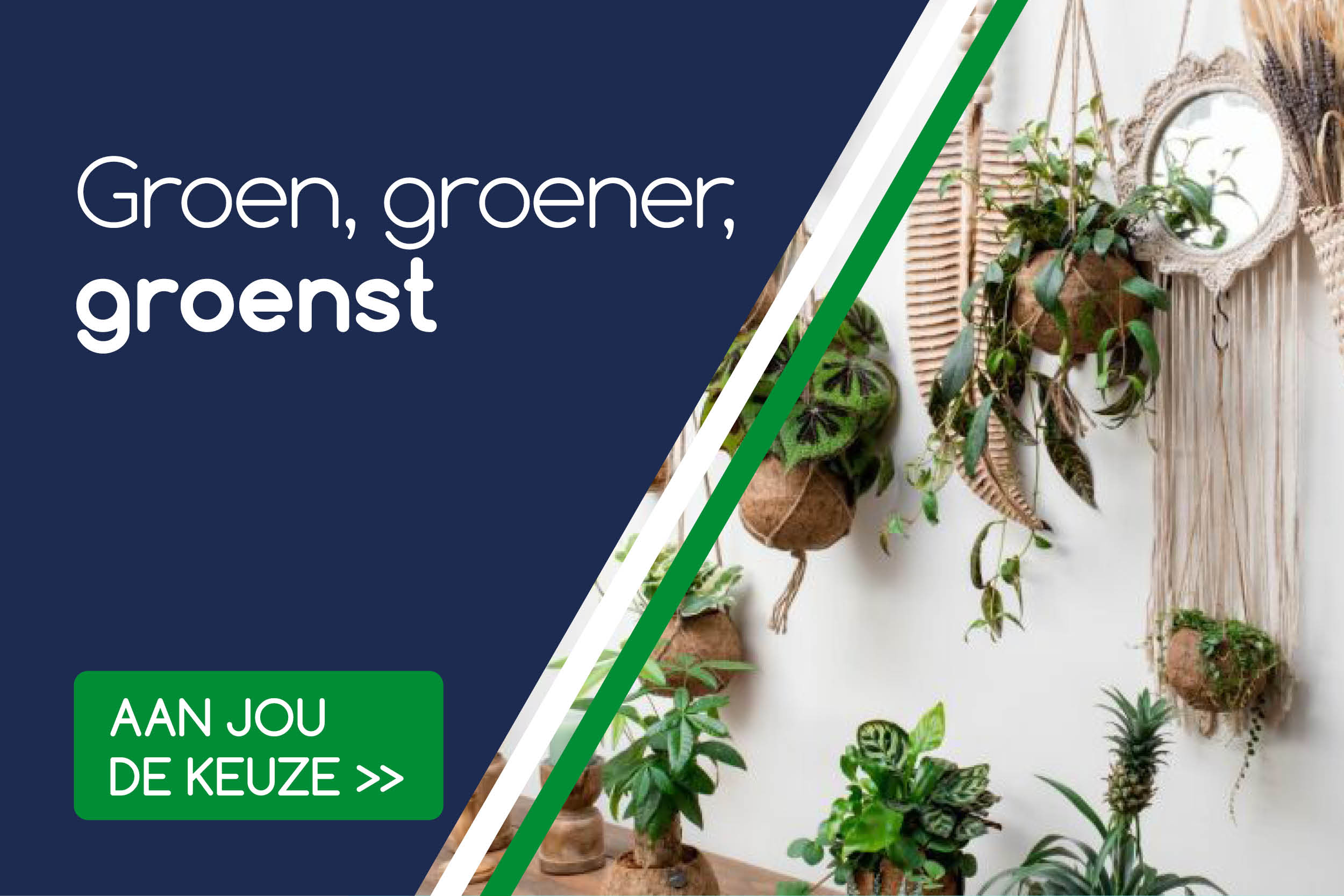 Planten